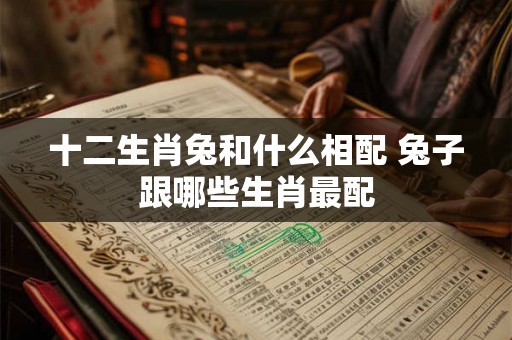十二生肖兔和什么相配 兔子跟哪些生肖最配
