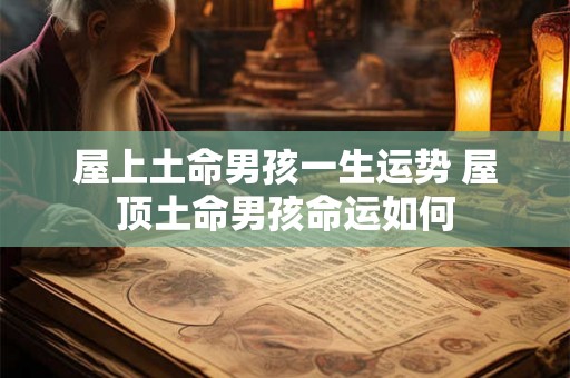 屋上土命男孩一生运势 屋顶土命男孩命运如何