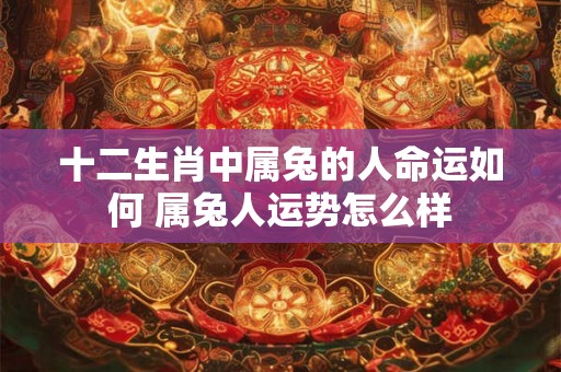 十二生肖中属兔的人命运如何 属兔人运势怎么样