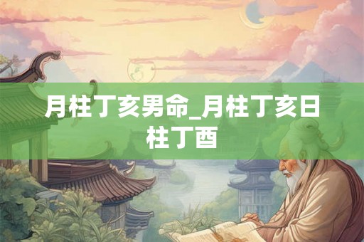 月柱丁亥男命_月柱丁亥日柱丁酉