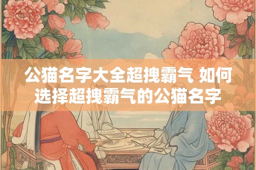 公猫名字大全超拽霸气 如何选择超拽霸气的公猫名字