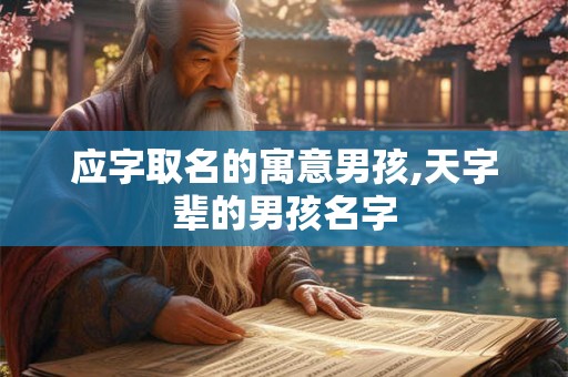 应字取名的寓意男孩,天字辈的男孩名字