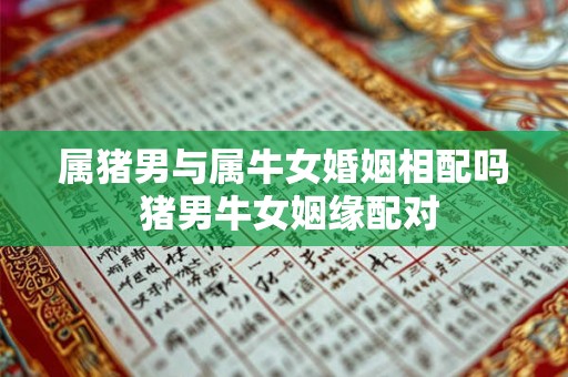 属猪男与属牛女婚姻相配吗 猪男牛女姻缘配对 属猪男与属牛女婚姻相配吗 猪男牛女姻缘配对
