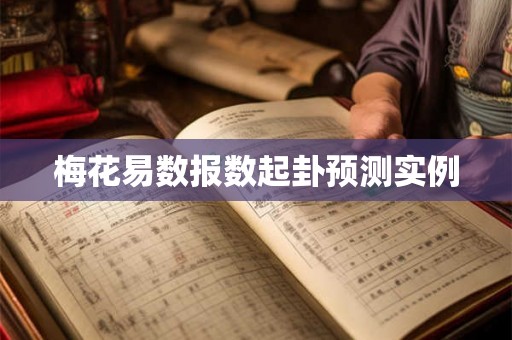 梅花易数报数起卦预测实例