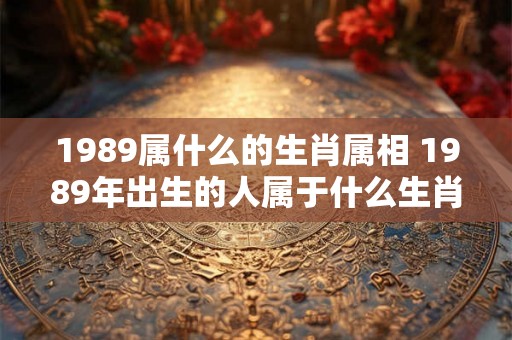 1989属什么的生肖属相 1989年出生的人属于什么生肖