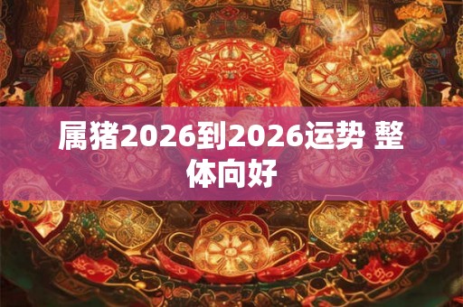 属猪2026到2026运势 整体向好