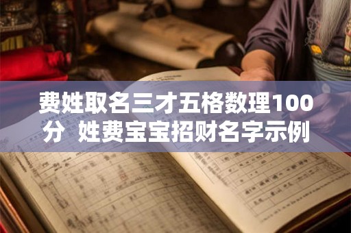 费姓取名三才五格数理100分  姓费宝宝招财名字示例