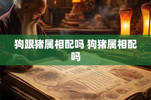 狗跟猪属相配吗 狗猪属相配吗