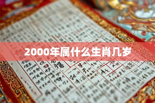 2000年属什么生肖几岁