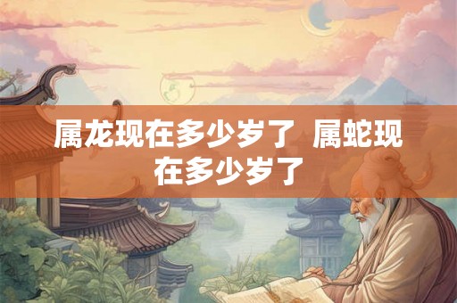 属龙现在多少岁了  属蛇现在多少岁了