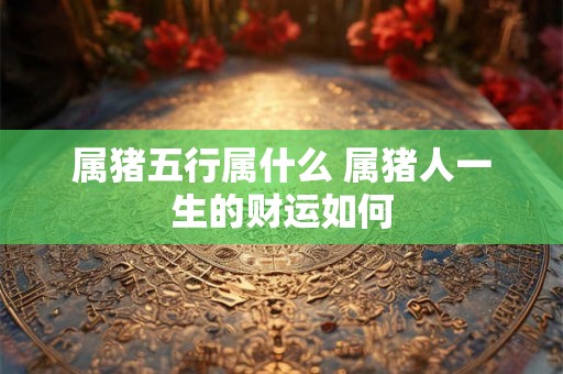 属猪五行属什么 属猪人一生的财运如何