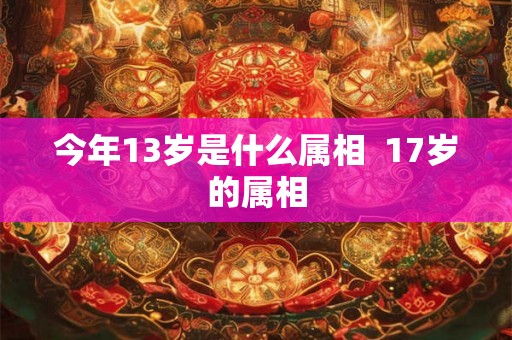 今年13岁是什么属相  17岁的属相
