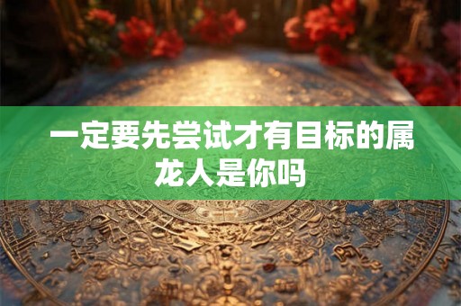 一定要先尝试才有目标的属龙人是你吗