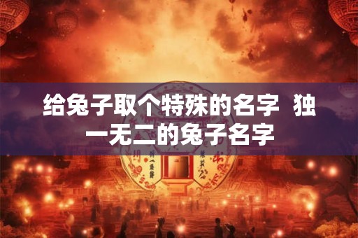 给兔子取个特殊的名字  独一无二的兔子名字