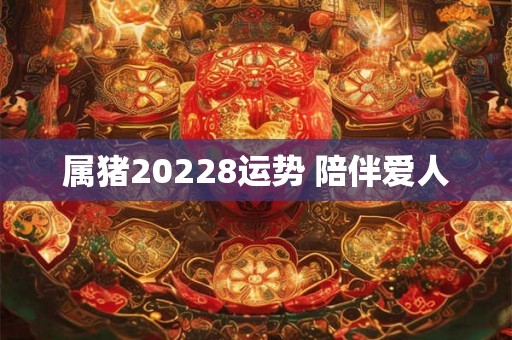 属猪20228运势 陪伴爱人