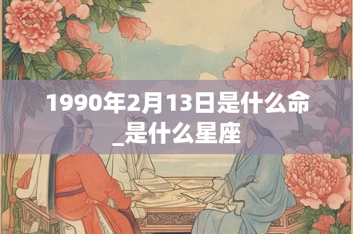 1990年2月13日是什么命_是什么星座 1990年2月13日是什么命_是什么星座