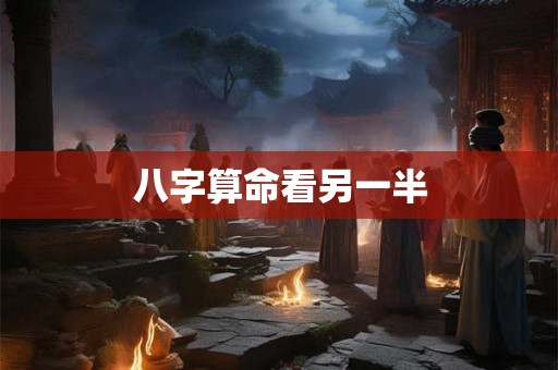八字算命看另一半
