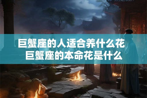 巨蟹座的人适合养什么花 巨蟹座的本命花是什么 巨蟹座的人适合养什么花 巨蟹座的本命花是什么