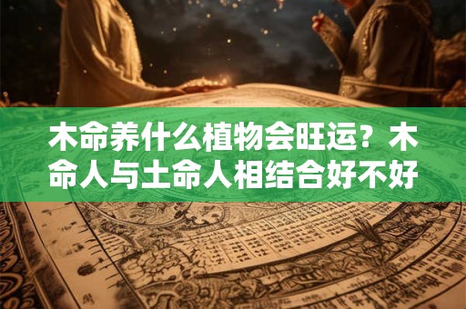 木命养什么植物会旺运？木命人与土命人相结合好不好？