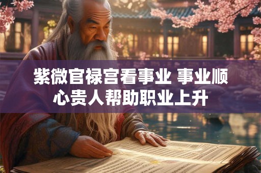 紫微官禄宫看事业 事业顺心贵人帮助职业上升