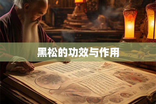 黑松的功效与作用