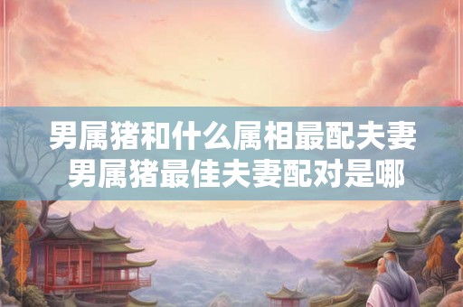 男属猪和什么属相最配夫妻 男属猪最佳夫妻配对是哪个属相