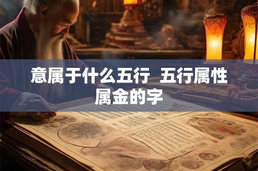 意属于什么五行  五行属性属金的字