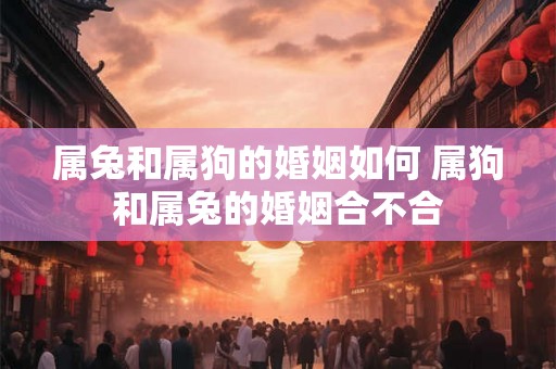 属兔和属狗的婚姻如何 属狗和属兔的婚姻合不合