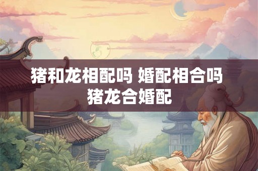 猪和龙相配吗 婚配相合吗 猪龙合婚配