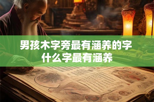 男孩木字旁最有涵养的字 什么字最有涵养