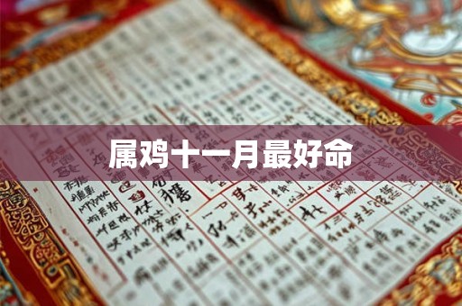 属鸡十一月最好命 属鸡十一月最好命