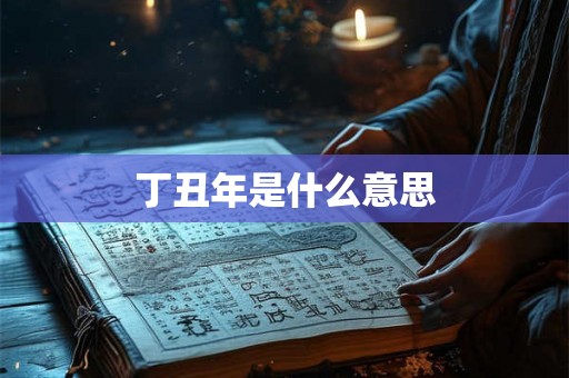 丁丑年是什么意思
