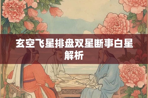 玄空飞星排盘双星断事白星解析