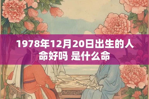 1978年12月20日出生的人命好吗 是什么命