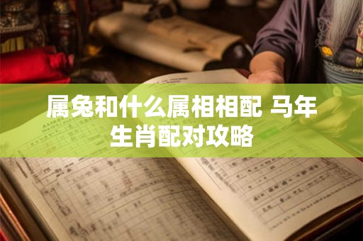属兔和什么属相相配 马年生肖配对攻略