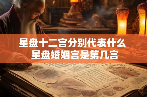 星盘十二宫分别代表什么  星盘婚姻宫是第几宫