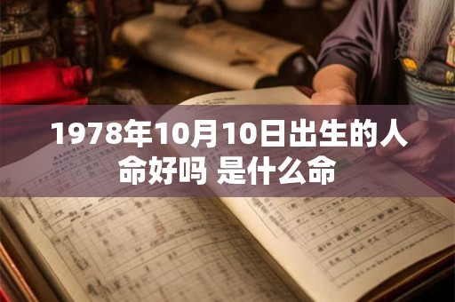 1978年10月10日出生的人命好吗 是什么命