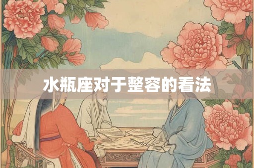 水瓶座对于整容的看法