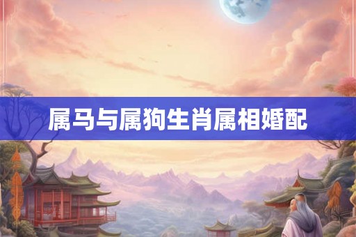 属马与属狗生肖属相婚配
