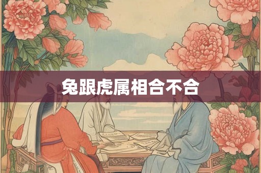 兔跟虎属相合不合