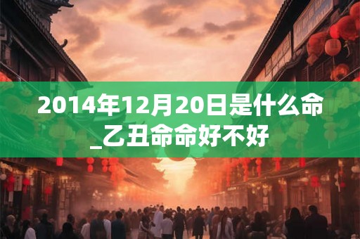 2014年12月20日是什么命_乙丑命命好不好