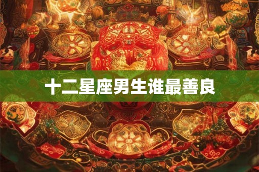 十二星座男生谁最善良