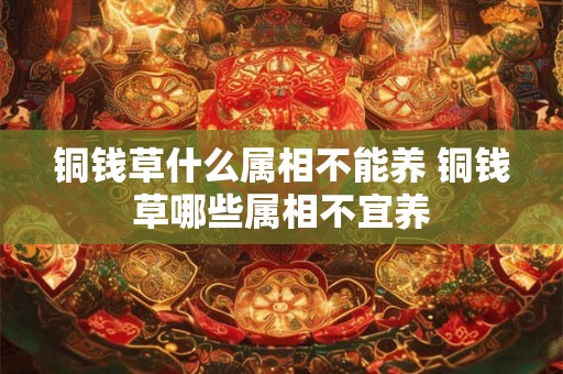 铜钱草什么属相不能养 铜钱草哪些属相不宜养 铜钱草什么属相不能养 铜钱草哪些属相不宜养