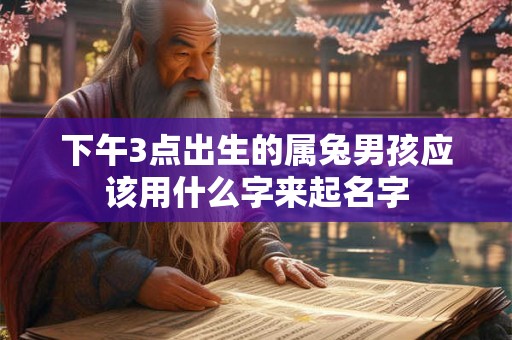 下午3点出生的属兔男孩应该用什么字来起名字