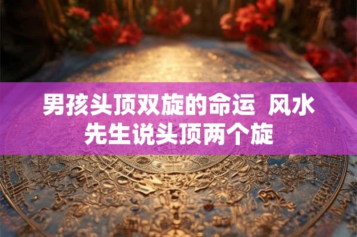 男孩头顶双旋的命运  风水先生说头顶两个旋