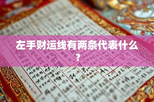 左手财运线有两条代表什么？