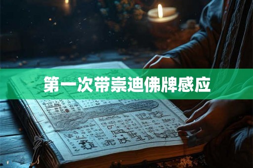 第一次带崇迪佛牌感应