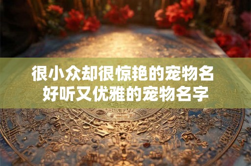 很小众却很惊艳的宠物名 好听又优雅的宠物名字