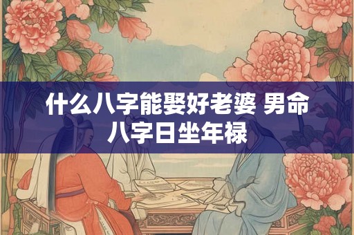 什么八字能娶好老婆 男命八字日坐年禄