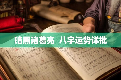 暗黑诸葛亮  八字运势详批